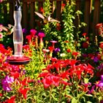 Easy Ways on How to Attract Hummingbirds to Your Garden