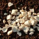 Easy Ways on How to Use Eggshells as Natural Fertilizer